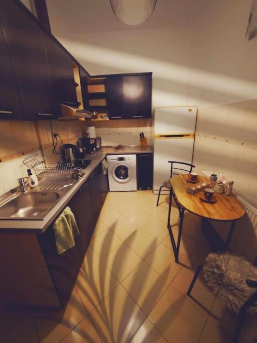 Sofia'S Home Comfy Studio In The Old Town Braşov Dış mekan fotoğraf