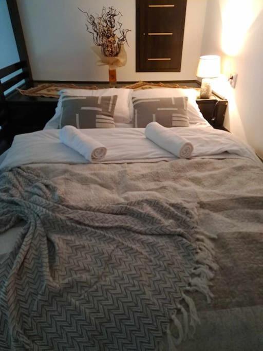 Sofia'S Home Comfy Studio In The Old Town Braşov Dış mekan fotoğraf