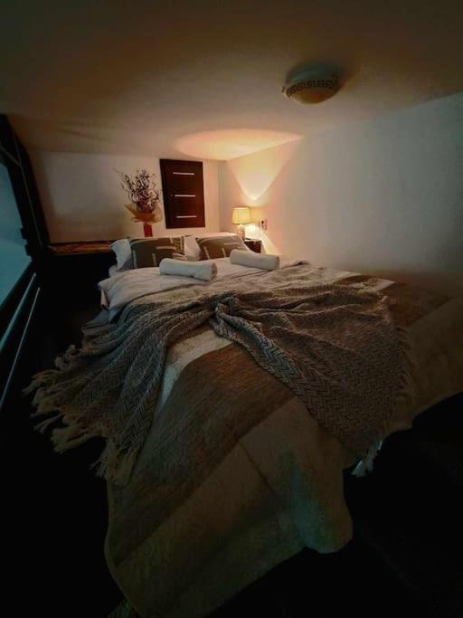 Sofia'S Home Comfy Studio In The Old Town Braşov Dış mekan fotoğraf