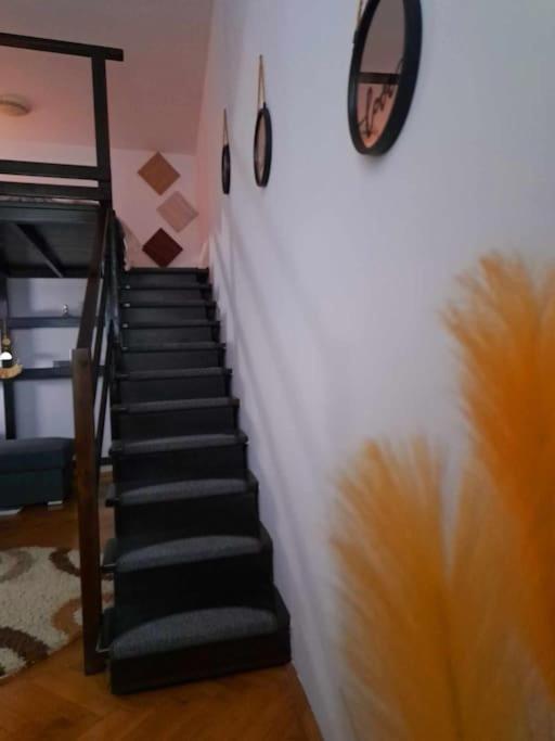 Sofia'S Home Comfy Studio In The Old Town Braşov Dış mekan fotoğraf