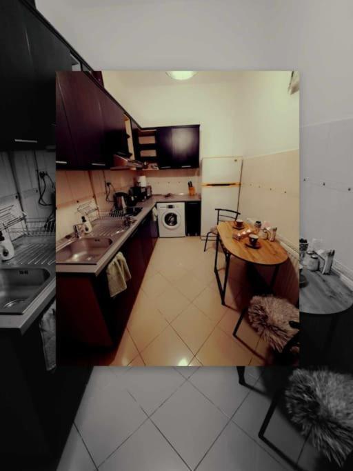 Sofia'S Home Comfy Studio In The Old Town Braşov Dış mekan fotoğraf
